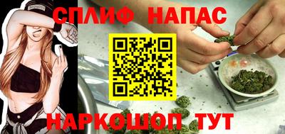 прущие грибы Кулебаки