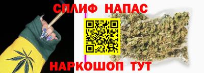 прущие грибы Кулебаки