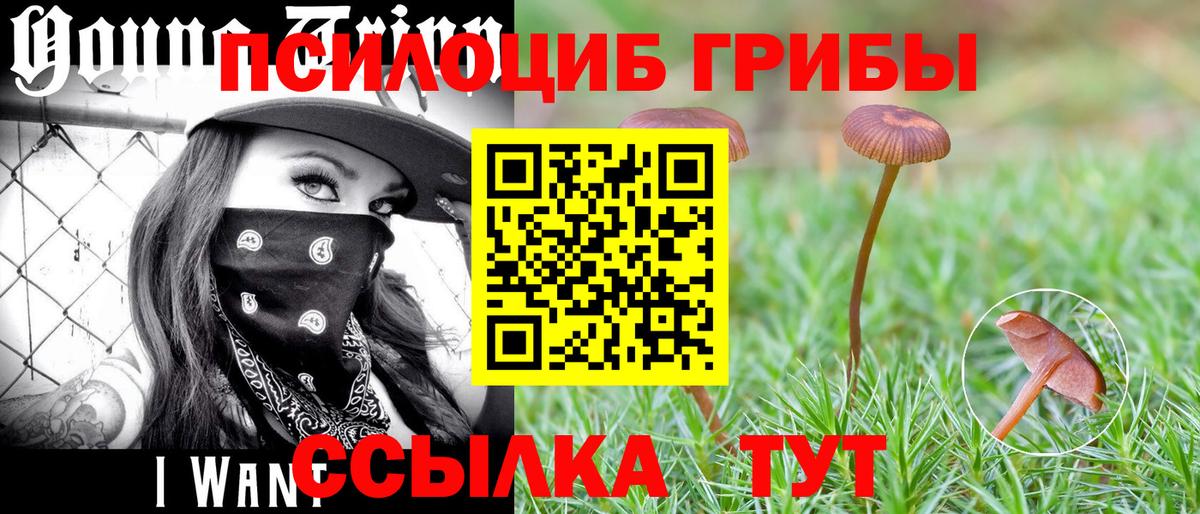Галлюциногенные грибы ЛСД Калуга