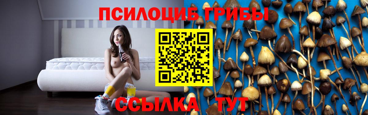 Галлюциногенные грибы Psilocybe  Галлюциногенные грибы GOLDEN TEACHER  Калуга  Вход с VPN 